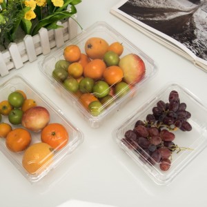 Contentor de frutas de plástico descartáveis de Alta transparência ecológica